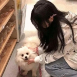 免费pg电子游戏